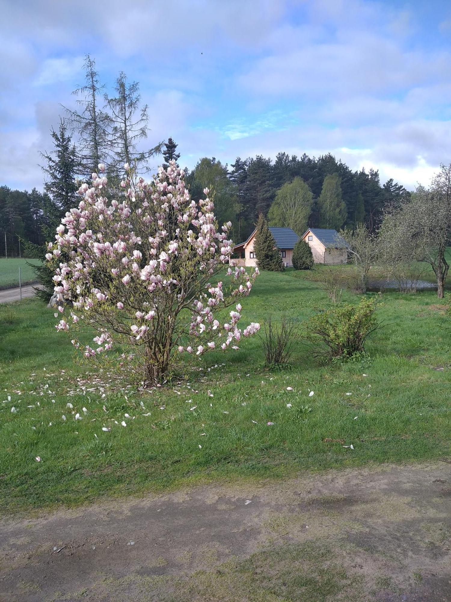 Wczasy Na Kaszubach Gorki (Koscierzyna)